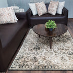Avioni Faux Silk Rug For Your Living Room | Luxurious, Durable and Washable | PebbleStreet Collection