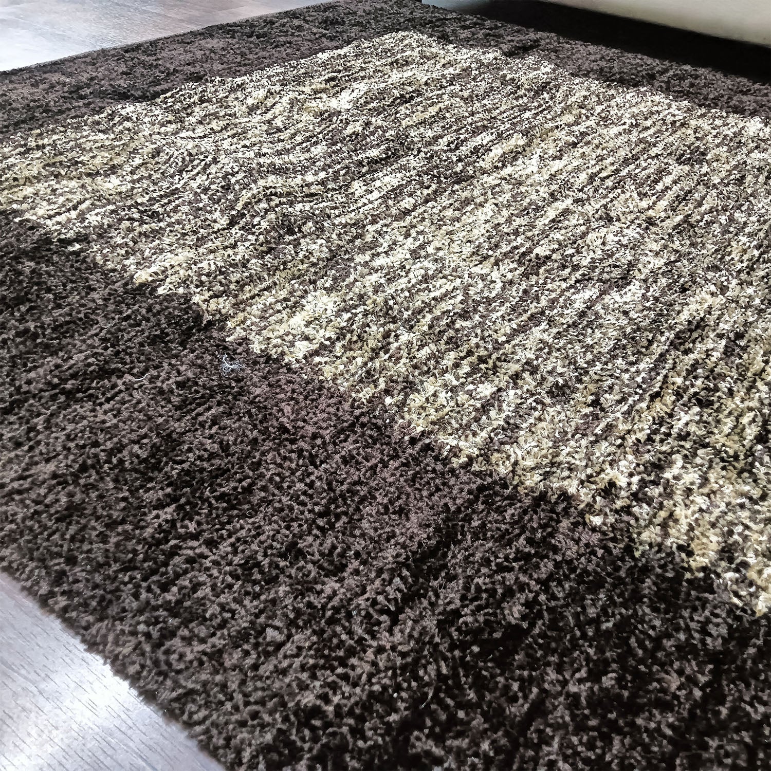 Avioni Handloom Cut Shuttle Rugs by Master Artisans | Feather like Luxurious Silk Soft Touch | Home Washable | Black and Beige border design | Reversible