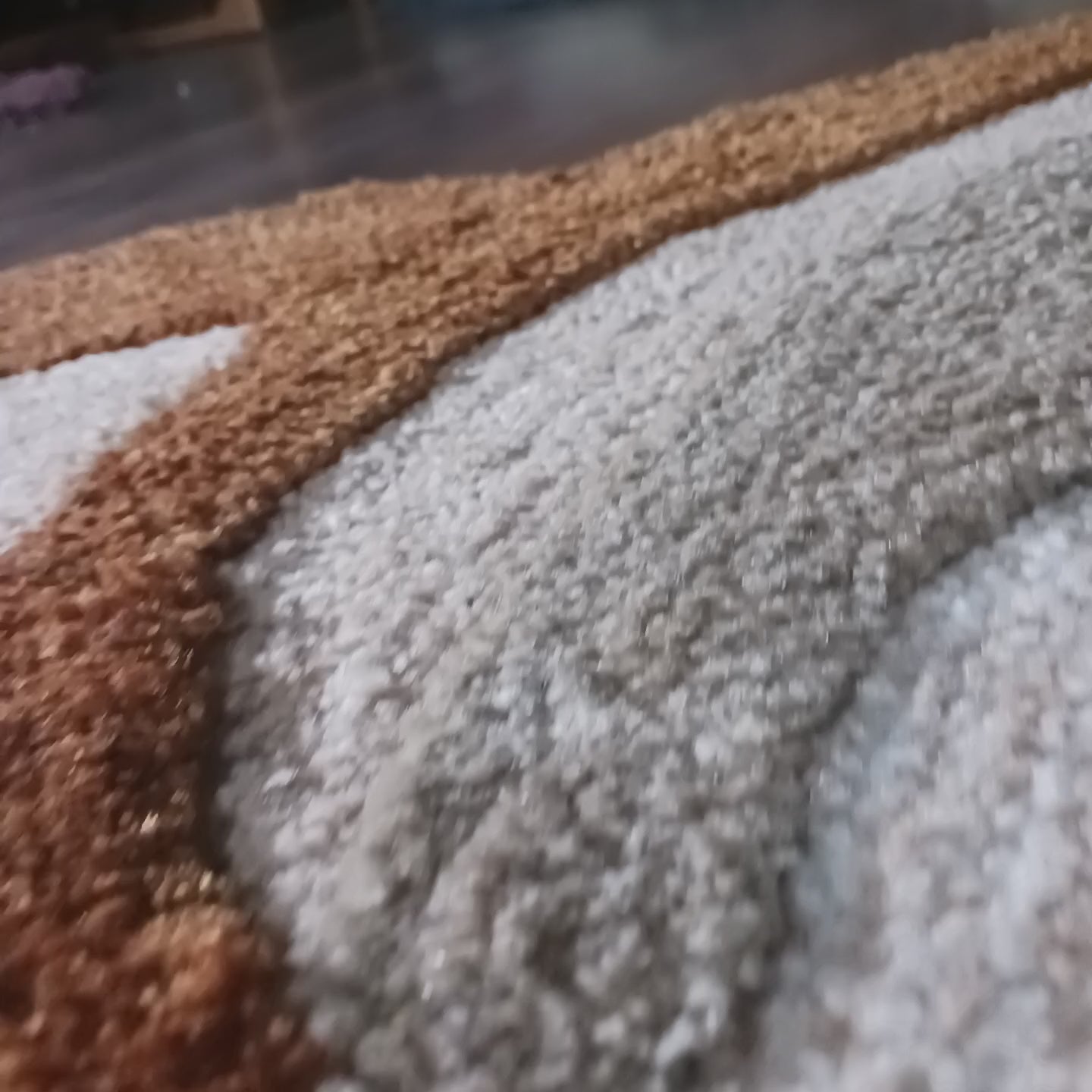 The Elevate Collection from Loomkart | Sunstone Petal | Luxury Statement Carpets